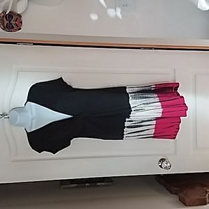 Buffalo David Bitton dress